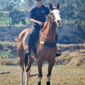 Clare Furneaux - Horse Trainer