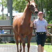 Meika Elliot - Educator & Retreat Facilitator