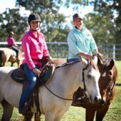 Horsemanship Clinics